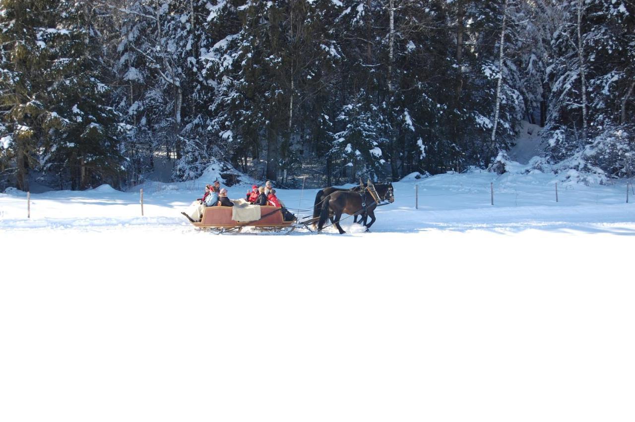 Bed and Breakfast Bauernhof Kotz Brunnen Екстер'єр фото